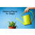 How Much Water Does Your Plants Need 