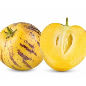 Pepino Melon ( Tree Tomato )Fruit (Solanum muricatum) Plant 