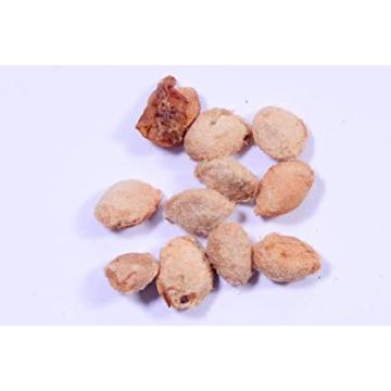 Buy Aegle Marmelos Seeds, Bael Fruit - 50 Seeds