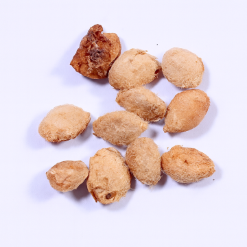 Buy Aegle Marmelos Seeds, Bael Fruit - 50 Seeds