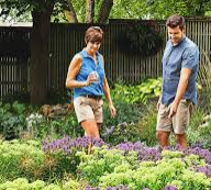 Common Mistakes To Avoid While Building Your Garden