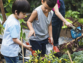 Teaching Kids The Fun Of Gardening